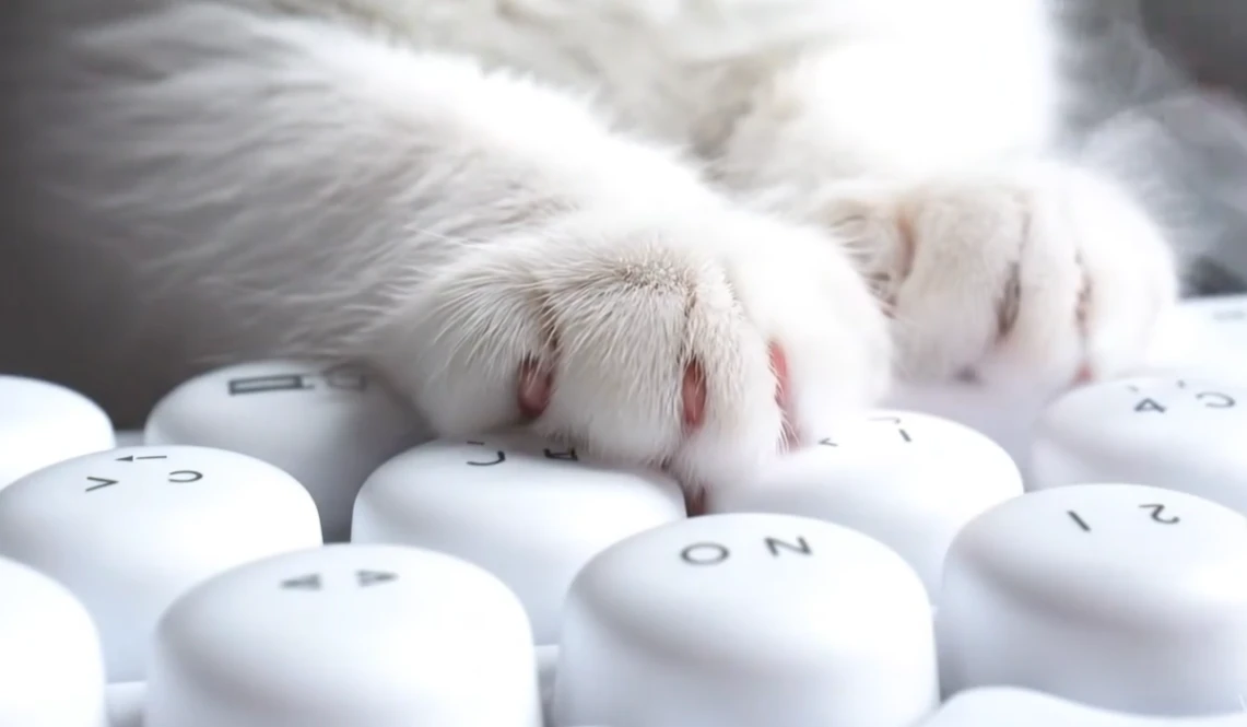 ASMR Video Template 25