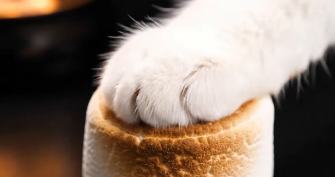 ASMR Video Template 28