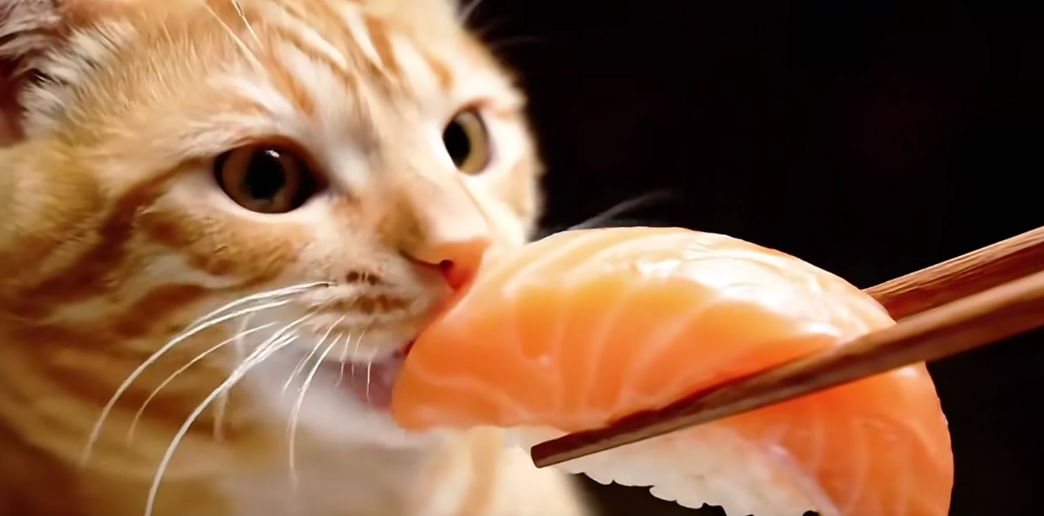 ASMR Video Template 52