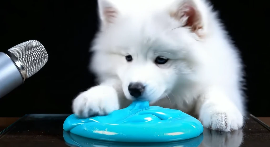 ASMR Video Template 31